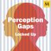 Perception Gaps