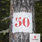 A tree with a number 50 on it