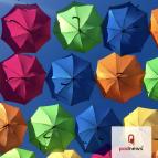 Lots of umbrellas