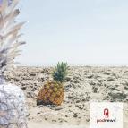 https://unsplash.com/photos/pineapple-fruit-on-sand-M6rCWkPtO1w