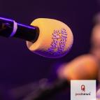 Cheerful Earful microphone